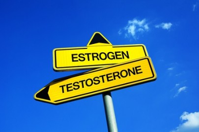 Qu'est-ce que l'aromatase?