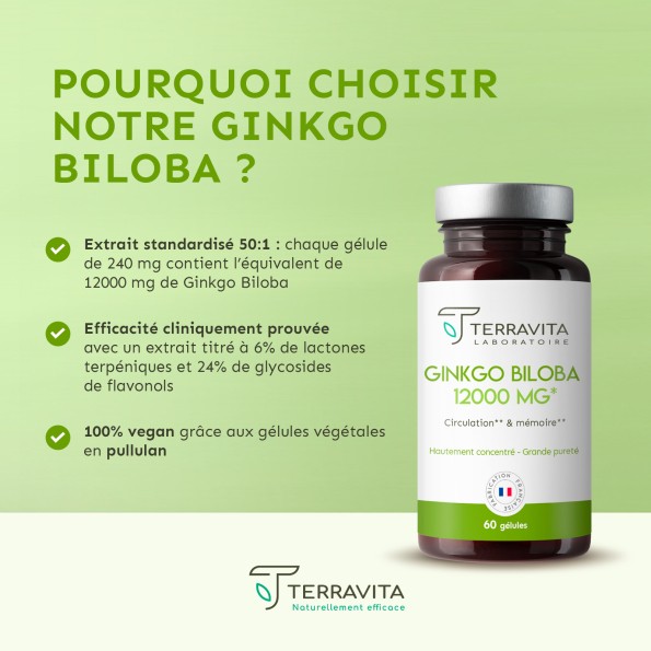 Ginkgo biloba 12000mg