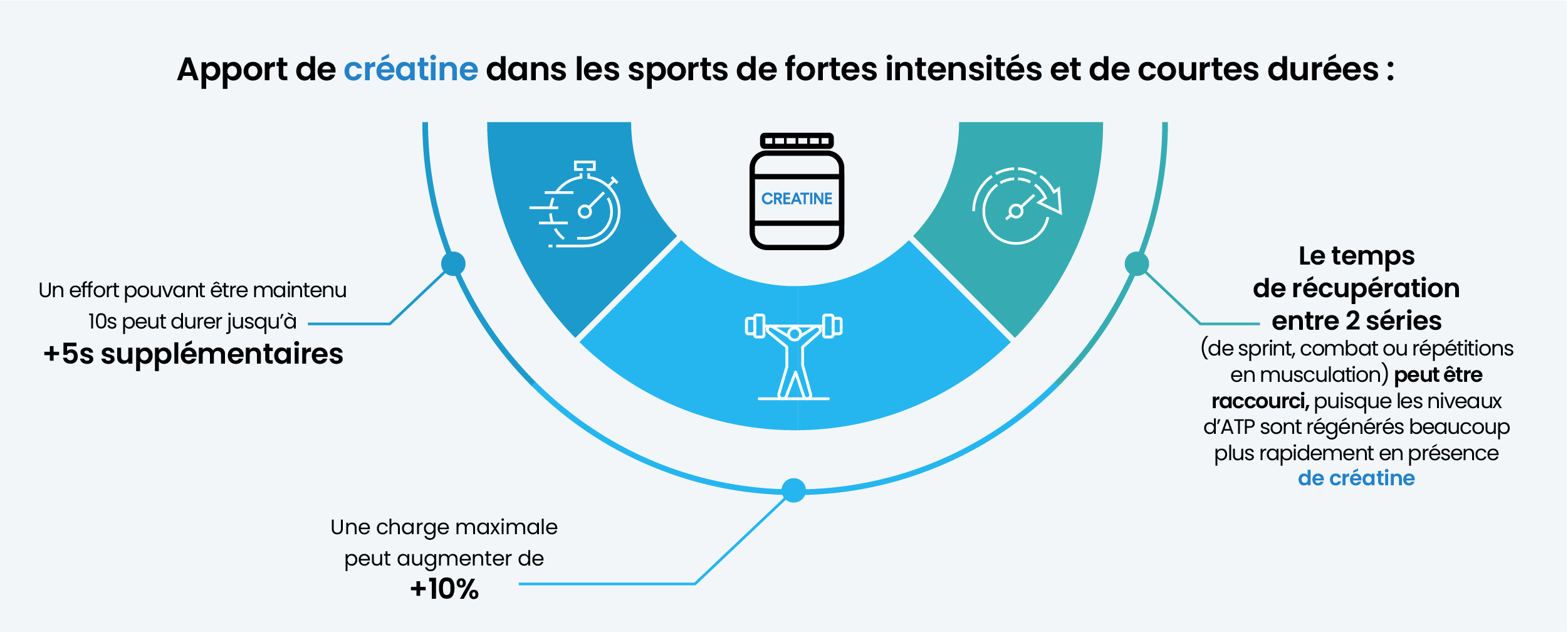 apports de créatine dans les sports de haute intensité et courte durée : effort plus long, charge maximale plus lourde, temps de récupération plus rapide entre 2 séries